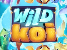 Wild Koi