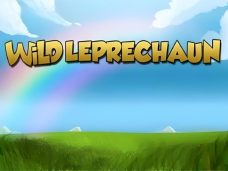 Wild Leprechaun