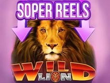 Wild Lion Super Reels