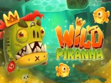 Wild Piranha