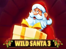 Wild Santa 3