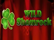 Wild Shamrock