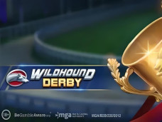 Wildhound Derby