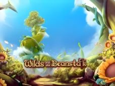 Wilds and the Beanstalk