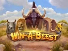 Win A Beest