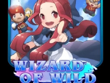 Wizard of Wild