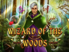 Wizard of the Woods