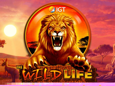 WildLife slot game